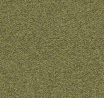 Ковровая плитка Tessera Chroma 3613 Pasture фото 1 | FLOORDEALER